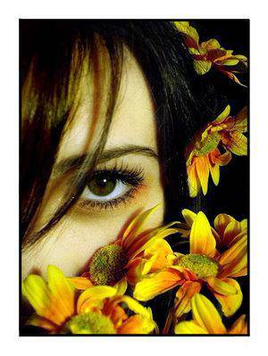 dans les fleurs jaune (des marguerite)